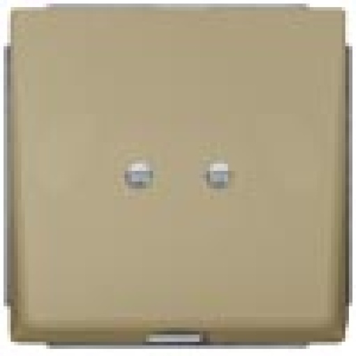 DELTA style outlet plate gold