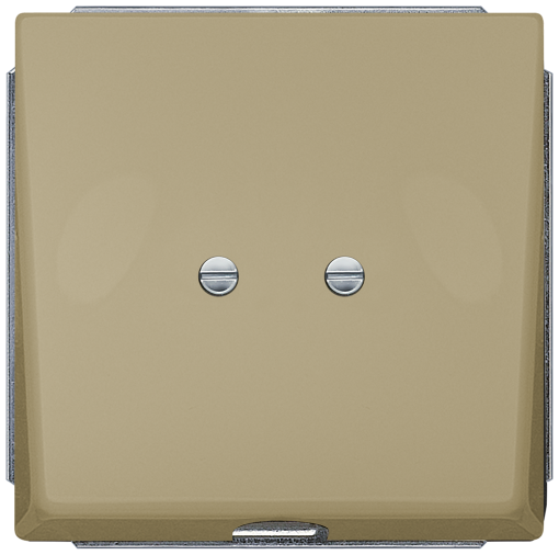 DELTA style outlet plate gold