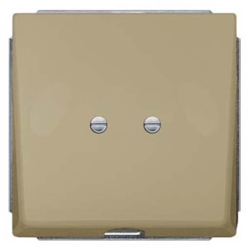 DELTA style outlet plate gold