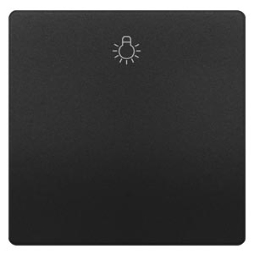 DELTA style rocker with light symbol, anthracite