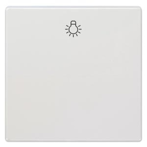 DELTA style rocker with light symbol, titanium white