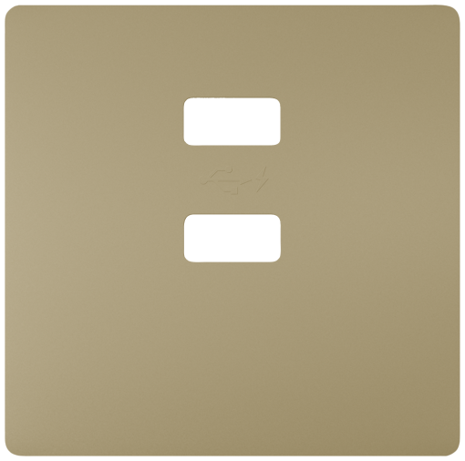 Style, cover double USB Charger malt gold