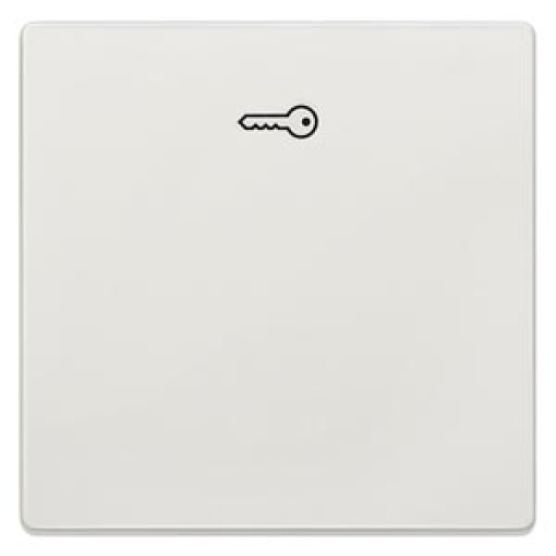 DELTA style rocker with door opener symbol, platinum metallic