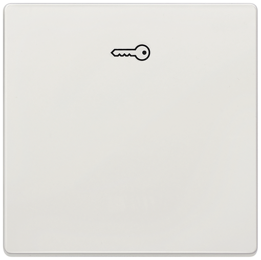 DELTA style rocker with door opener symbol, titanium white