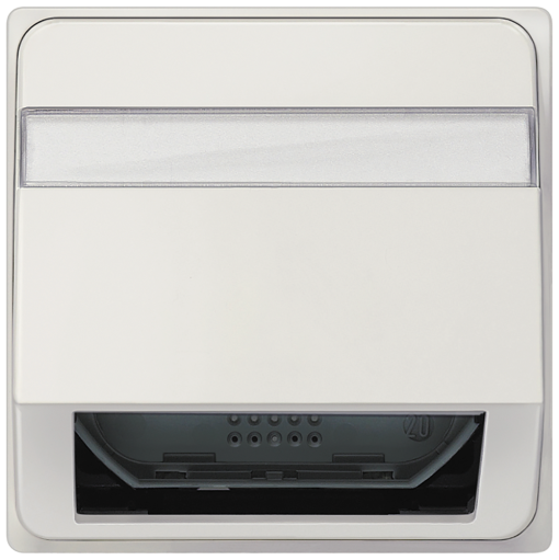 DELTA style inclined outlet for FO mounting plates with labeling field, titan...