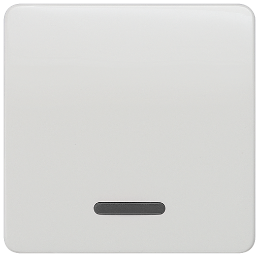 DELTA profil rocker with window for pilot lampOFFtwo-way switch, titanium w...