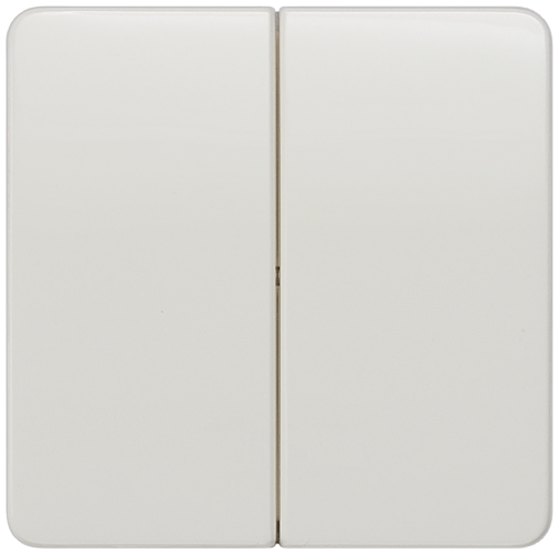 DELTA profil rocker double neutral for two-circuit switch, titanium white