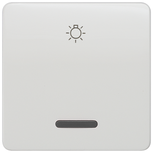 DELTA profil rocker with window and light symbol, titanium white