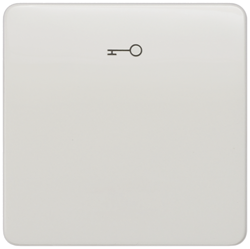 DELTA profil rocker with door opener symbol, titanium white