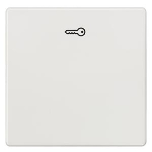 DELTA i-system rocker with door opener symbol, titanium white