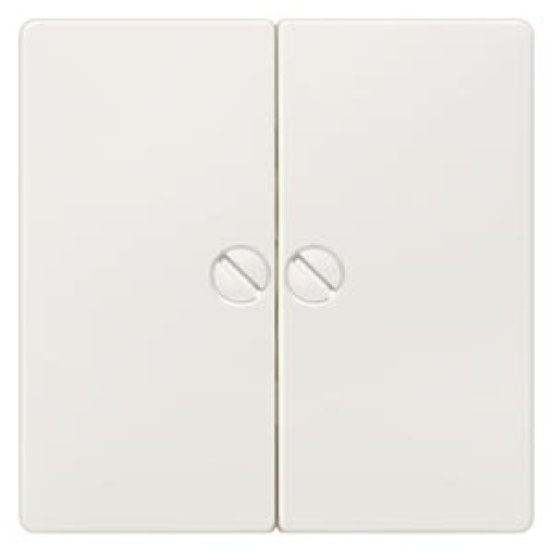 DELTA i-system rocker for screwing for two-circuit switch, titanium white