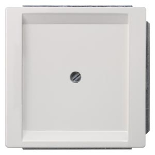 DELTA style blanking cover plate, titanium white