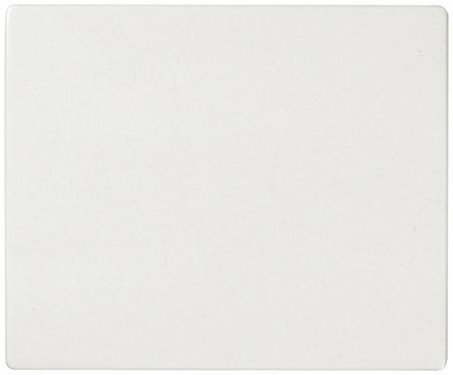 IRIS Rocker switch polar white