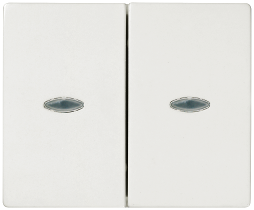 IRIS Rocker switch 2-fold with transparent window polar white