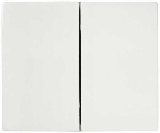 IRIS Rocker switch 2-fold polar white