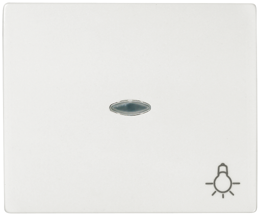 IRIS Rocker switch with transparent window with symbol light polar white