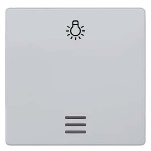 DELTA i-system rocker with window and light symbol, aluminum metallic