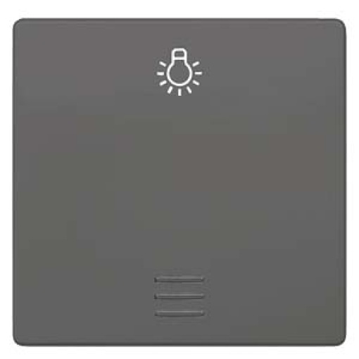 DELTA i-system rocker with window and light symbol, carbon metallic