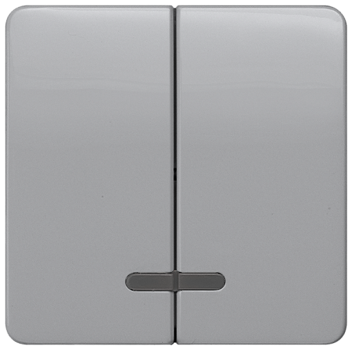 DELTA profil rocker double with window for two-circuit switch, silver