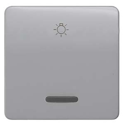 DELTA profil rocker with window and light symbol, silver