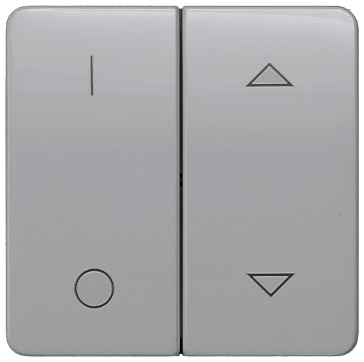 DELTA profil rocker double with IO and shutterblind symbols for OFF switch,...