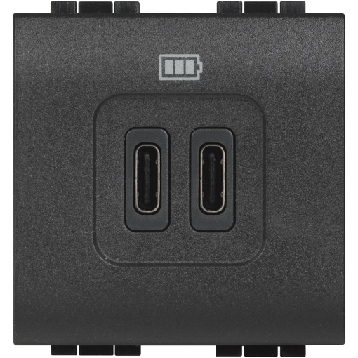 Livinglight - Tomada carregadora 2 x USB Tipo-A - Antracite, 2 módulos