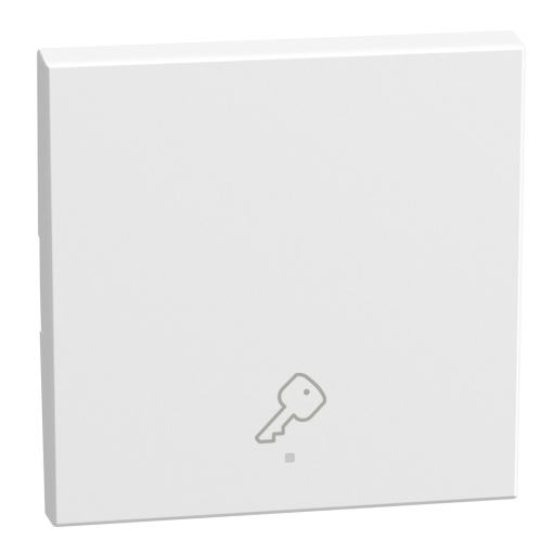 Light Now MYHOME - Tecla com símbolo - Chave, 1 função, 2 módulos - White