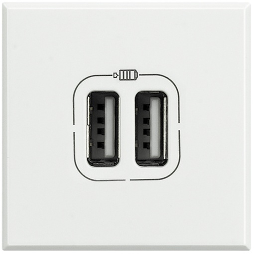 AXOLUTE-CARREG.USB 2P 2400 BRA