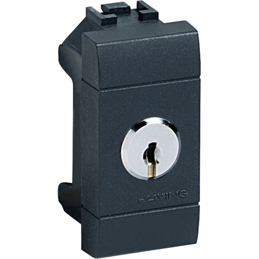 Livinglight - Comutador 16 AX com chave - Antracite, 1 módulo