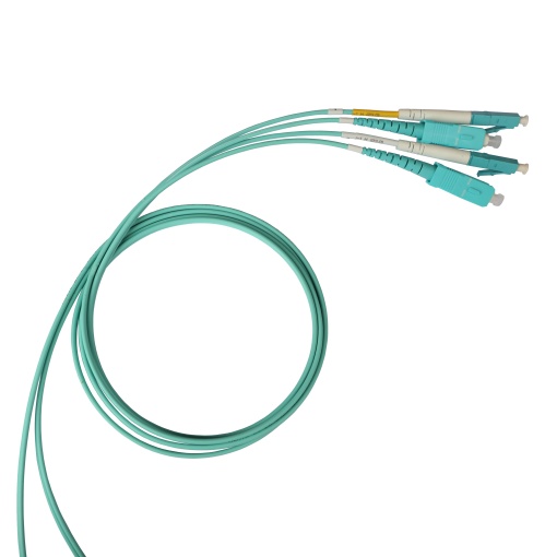 CHICOTE SCLC OM4 2M