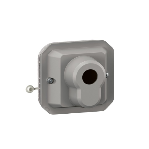 Plexo IP 55 componível - Interruptor com chave DIN - 2 posições, Cinzento