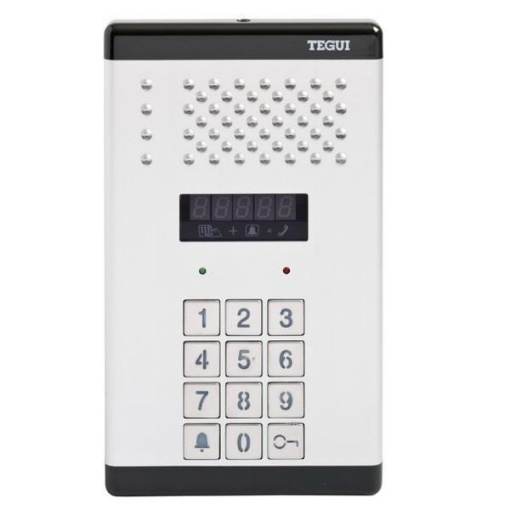 TEGUI- PE AUDIO DIGITAL S-300