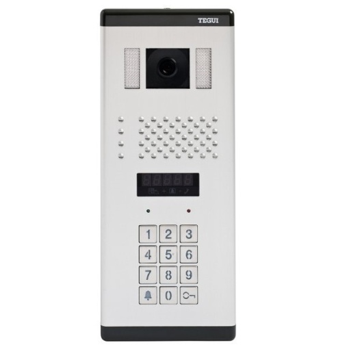 TEGUI-PE VIDEO PB DIGIT S-300