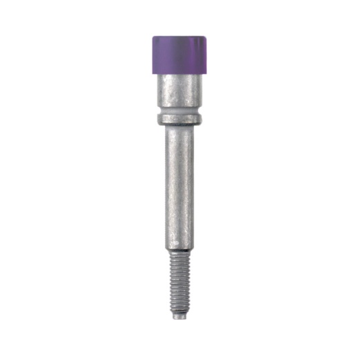 Socket terminal, Plug-in depth 10 mm, Depth 31.7 mm