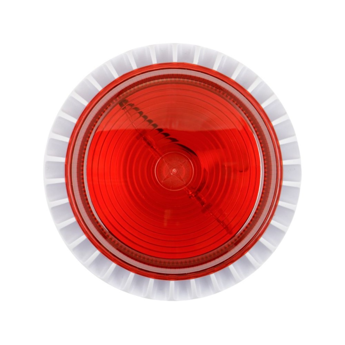 FLRLWD 12V TONE 8 SEPERATE