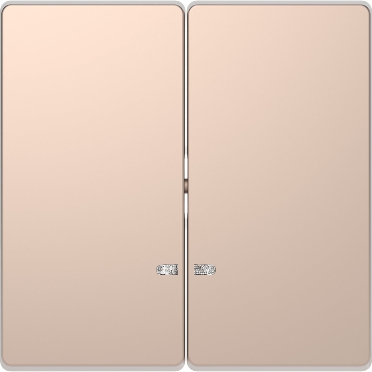 D-Life - Tecla dupla com visor - Metal champanhe