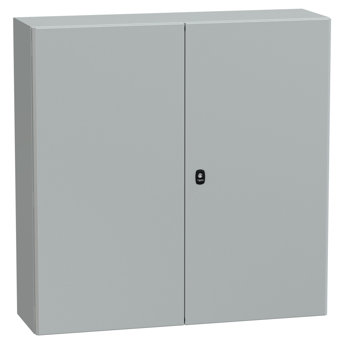 Spacial S3D dbl plain door with mount.plate. H1000xW1000xD300 IP55 IK10 RAL7035.