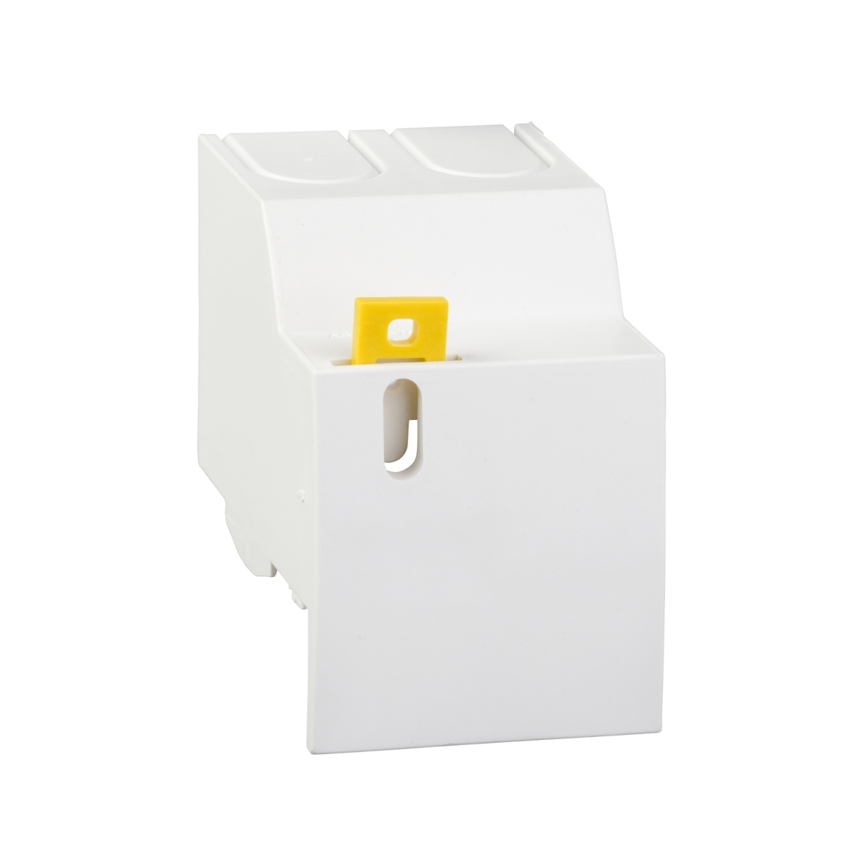 Acti9 - 2 Tapa bornes de 40A 125A 2 pólos - iC60 - Reflex iC60 - iSW-NA