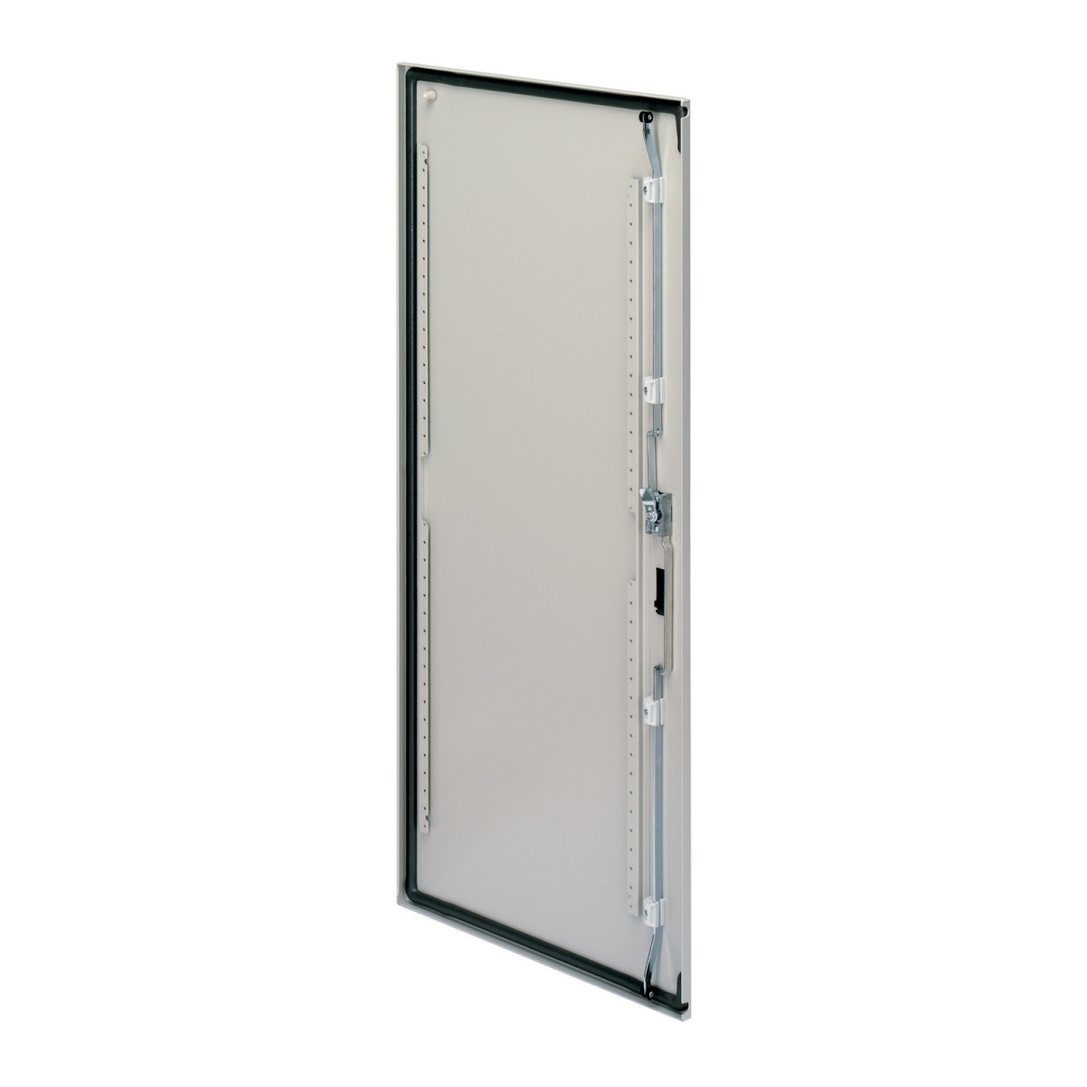 Plain door Spacial CRNG H1200xW800 RAL 7035, with lock