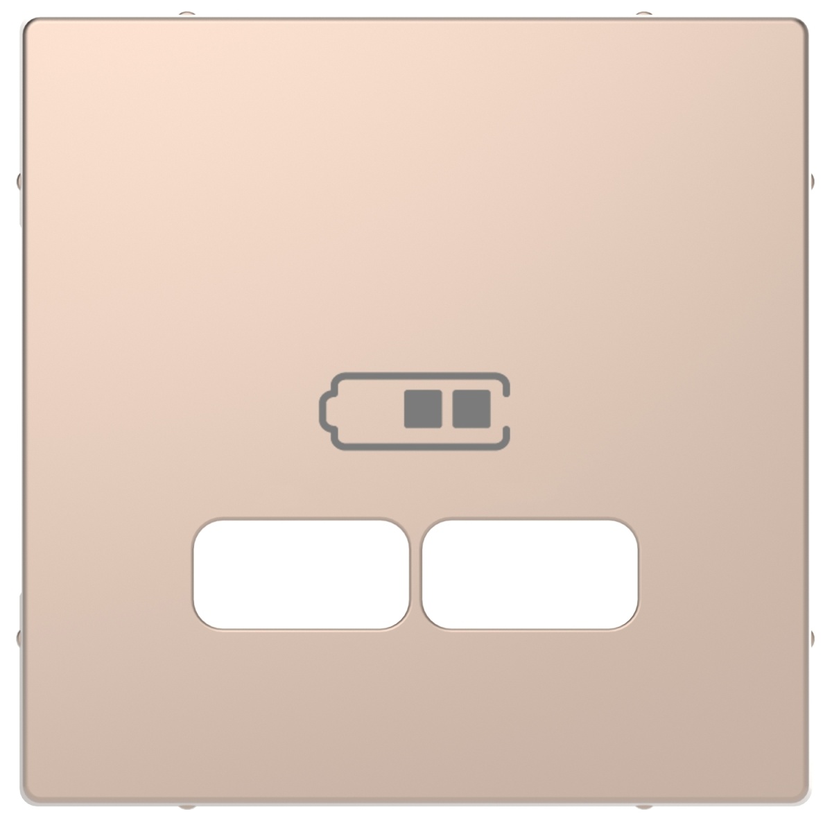 D-Life - Centro de tomada para carregador USB - Metal champanhe