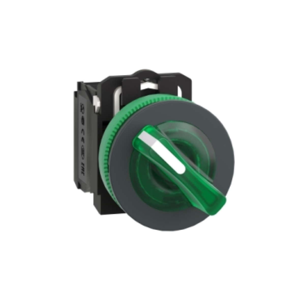 selector flush   luminosous verde 2 posições fijas 24v ca  d