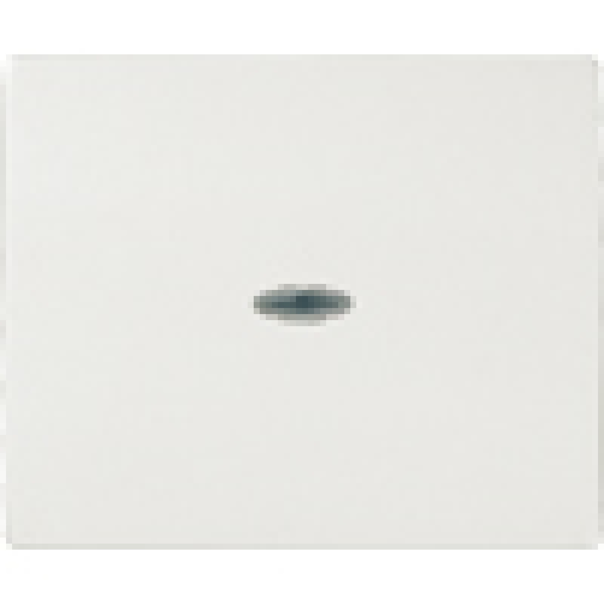 IRIS Rocker switch with transparent window polar white