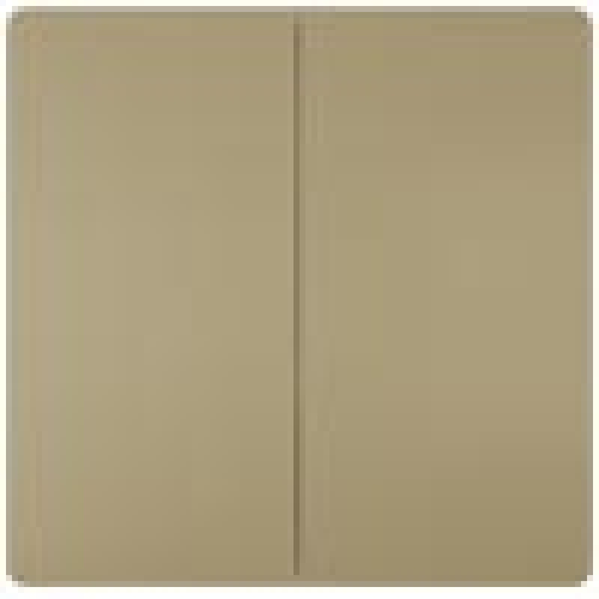 Style, Rocker switch with window w. symbol Light for pushbutton 68x 68 mm mal...