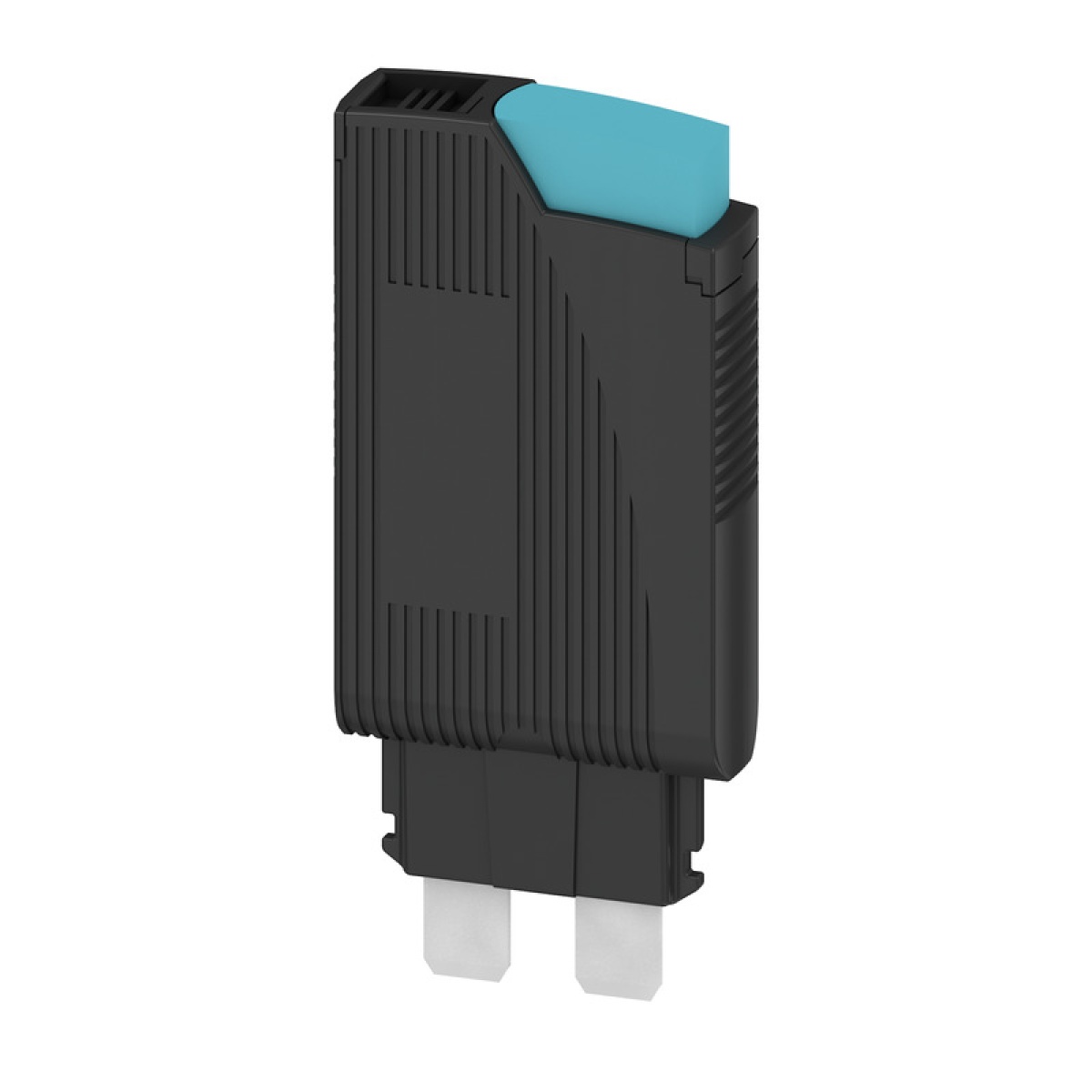 Miniature fuse, slo-blo, 1 A