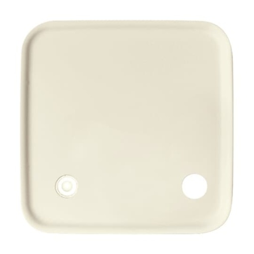 Cover plate white  BuschDuro 2000 SI