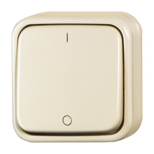 Rocker switch