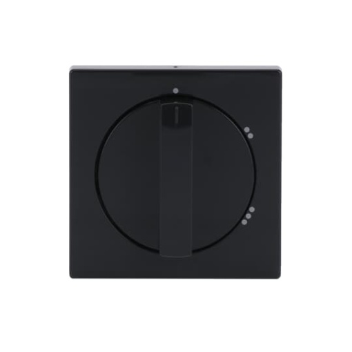 Cover plate with legend Symbol 123 for Level switch Turn button anthracite  Platform 63