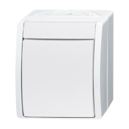 Switch Intermediate switch alpine white  ocean