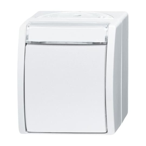 Switch Twoway switch alpine white  ocean