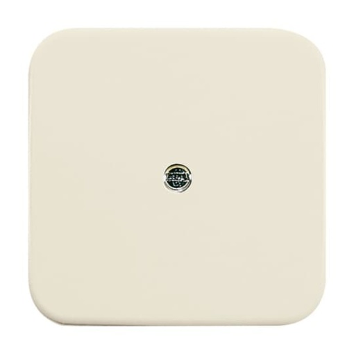 Cover plate BuschInfoline telephone connector boxes VDo white  BuschDuro 2000 SI